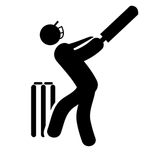 Cricket Practice Net